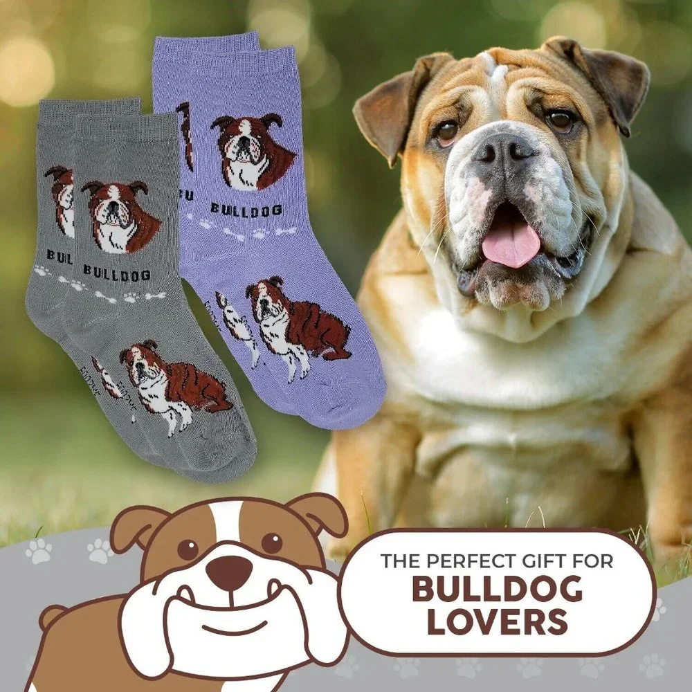 Bulldog British English Dog Breed Women's Foozys Puppy Cute Dogs 2 Pairs Socks